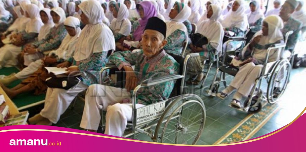 Haji 2023, Jemaah Lansia 95 Tahun ke Atas Berjumlah 555 Orang